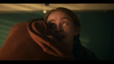 Stranger_Things_S05E07_mkv3250.jpg