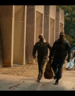 Filename=Stranger_Things_S05E07_mkv1079.jpg
Filesize=1117KiB
Dimensions=1920x1080
Date added=Jan 02, 2026 Stranger_Things_S05E07_mkv1079.jpg